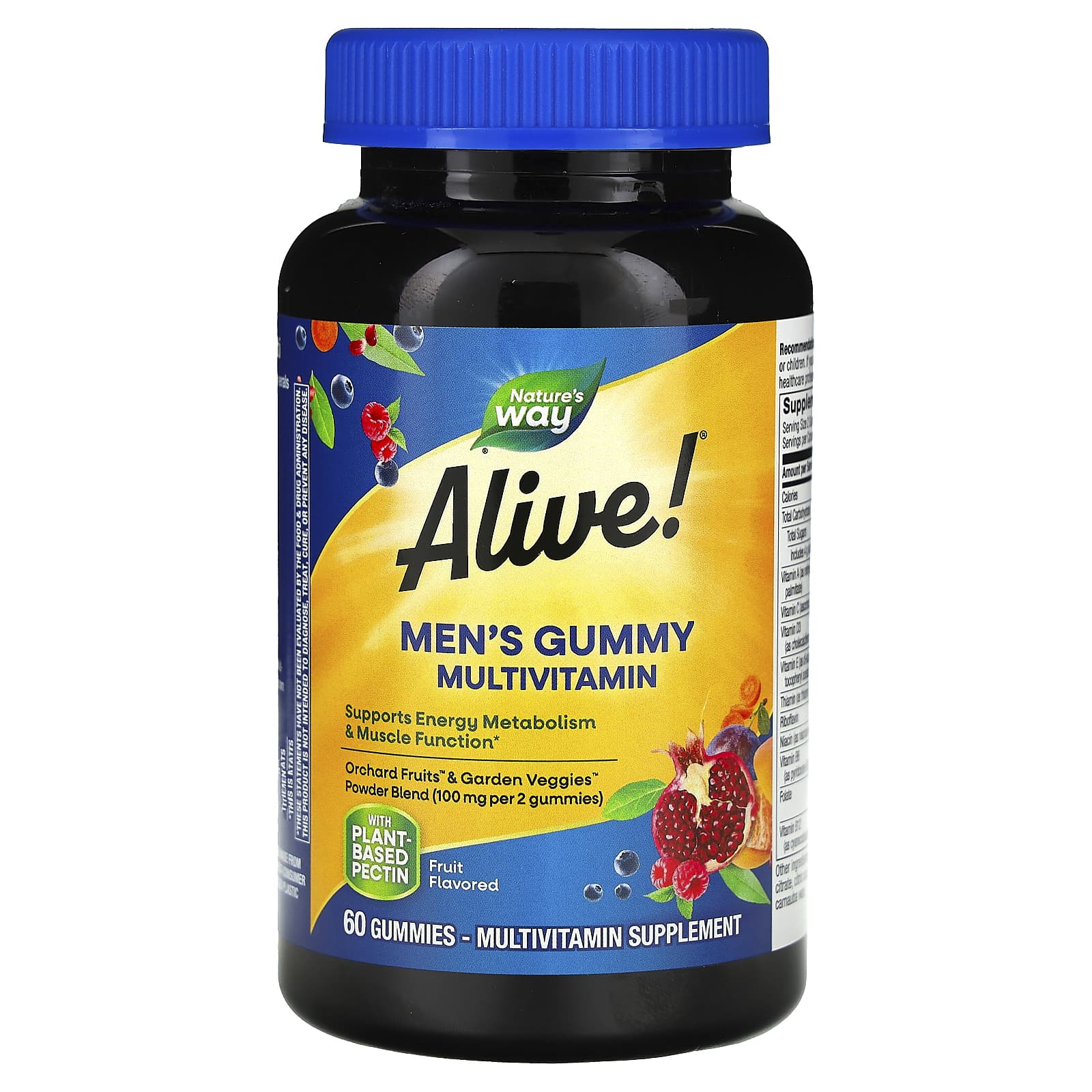 Nature’s Way, Alive! Men's Gummy Complete Multivitamin, Fruit, 60 Gummies UPC 033674159002 | Hilife Vitamins
