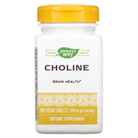 Nature’s Way, Choline 500 mg, 100 Tablets - 033674404607 | Hilife Vitamins