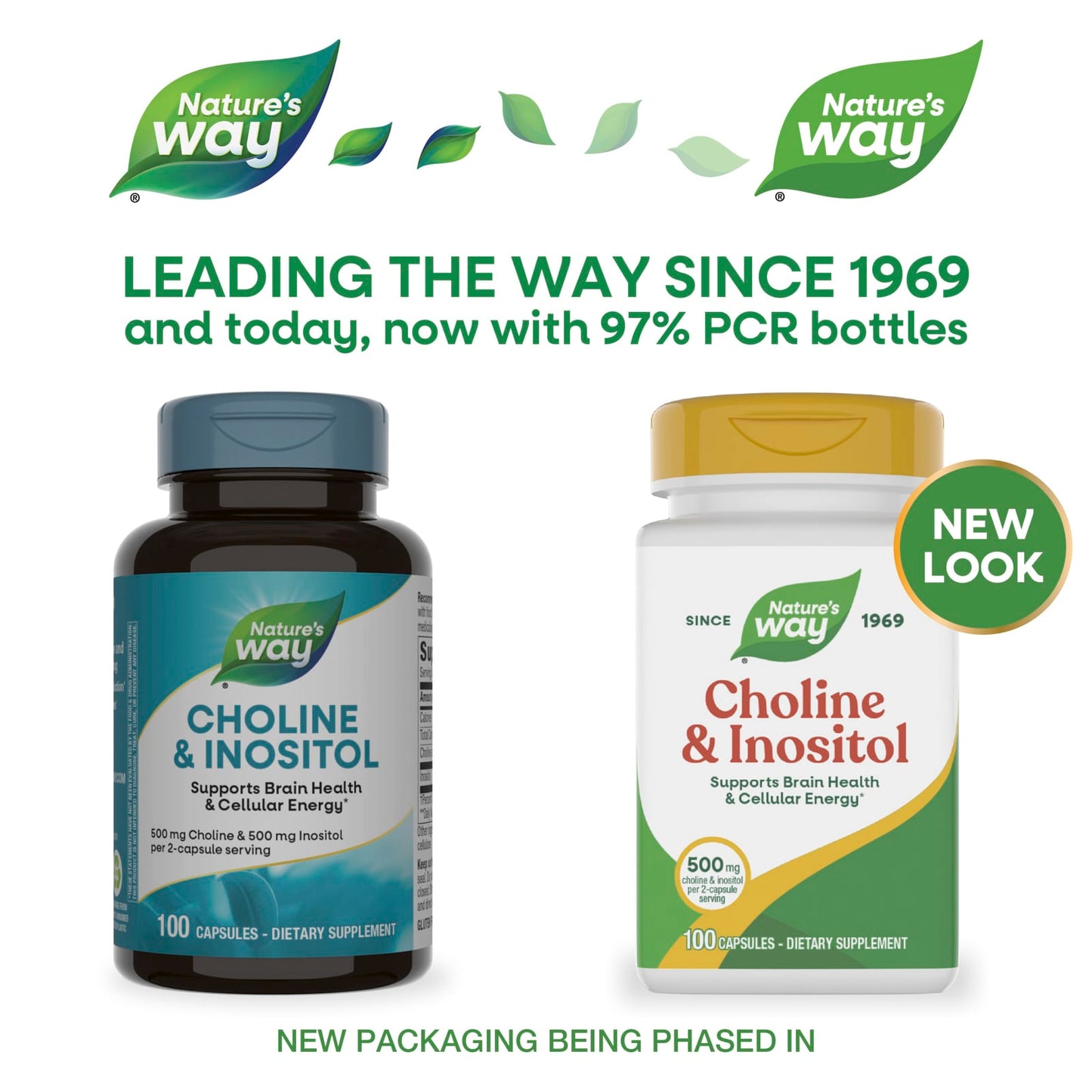 Nature’s Way, Choline-Inositol 250/250 mg, 100 Capsules UPC 033674404621 | Hilife Vitamins