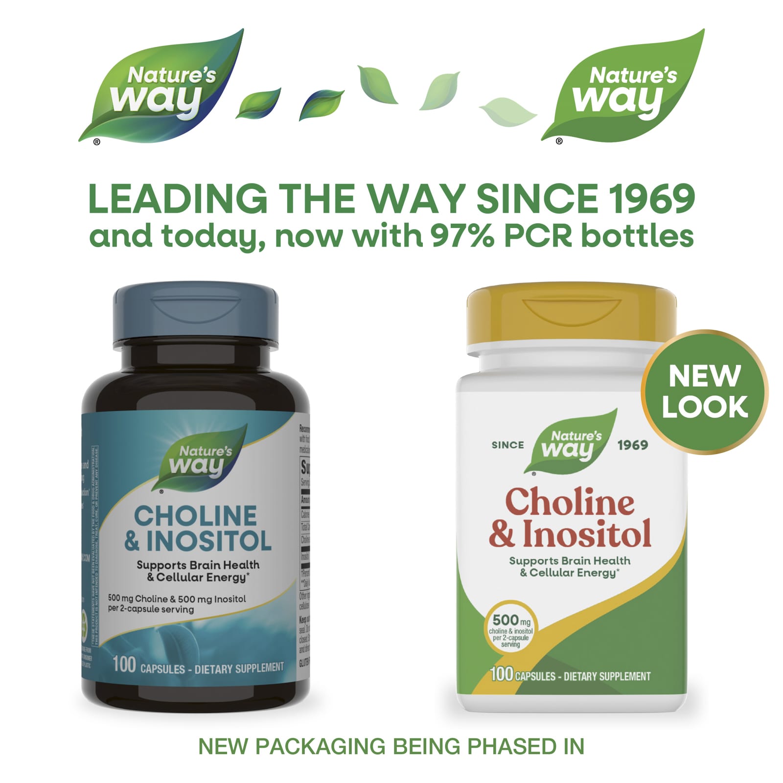 Nature’s Way, Choline-Inositol 250/250 mg, 100 Capsules UPC 033674404621 | Hilife Vitamins