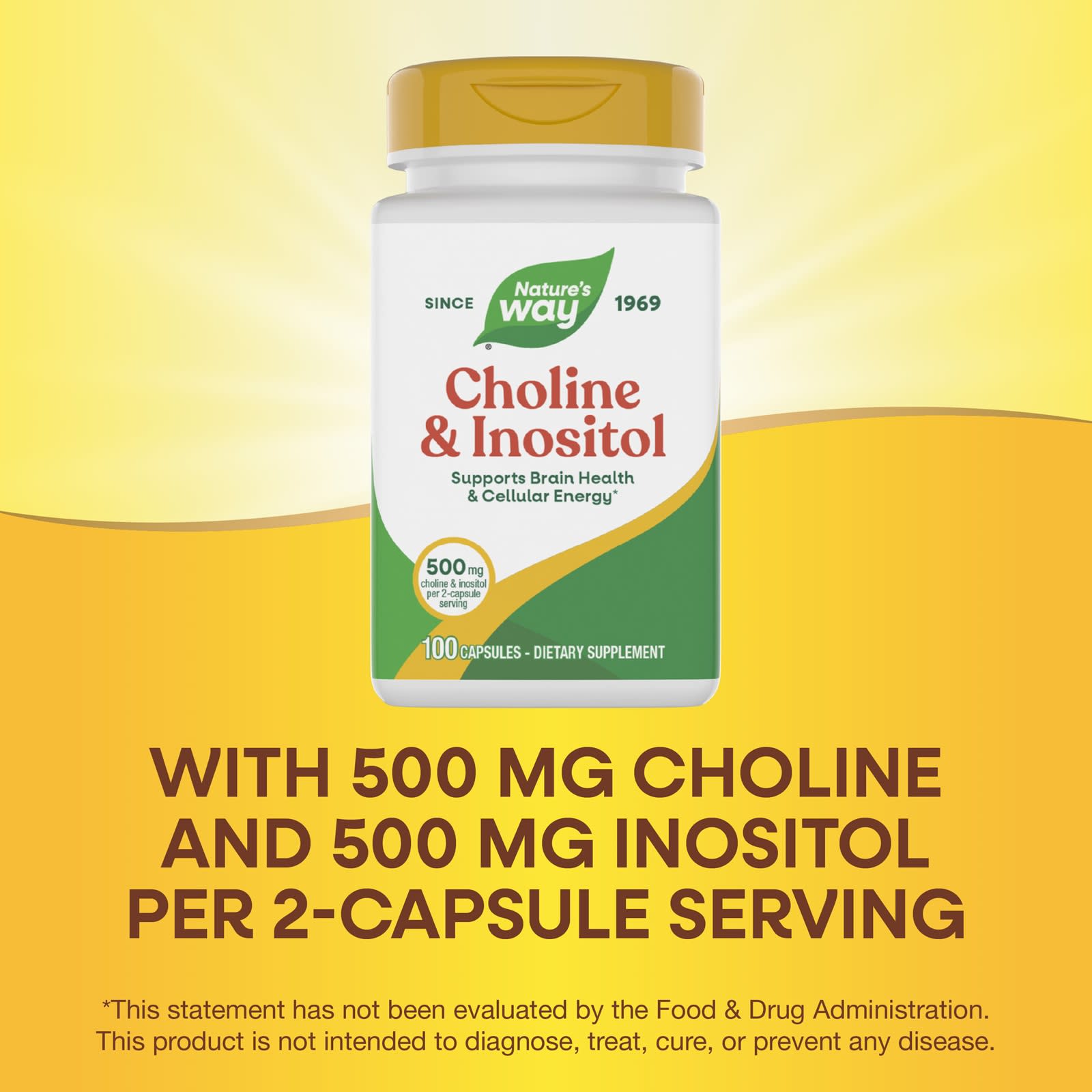 Nature’s Way, Choline-Inositol 250/250 mg, 100 Capsules UPC 033674404621 | Hilife Vitamins