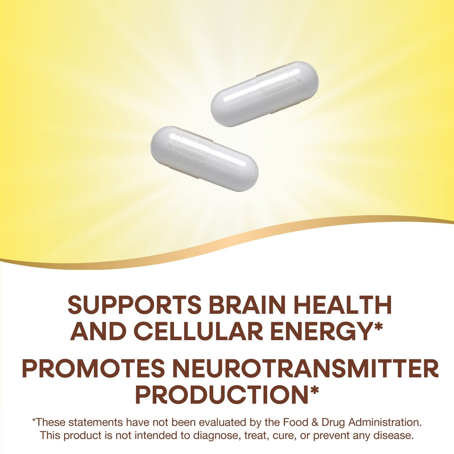 Nature’s Way, Choline-Inositol 250/250 mg, 100 Capsules UPC 033674404621 | Hilife Vitamins