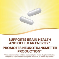 Nature’s Way, Choline-Inositol 250/250 mg, 100 Capsules UPC 033674404621 | Hilife Vitamins