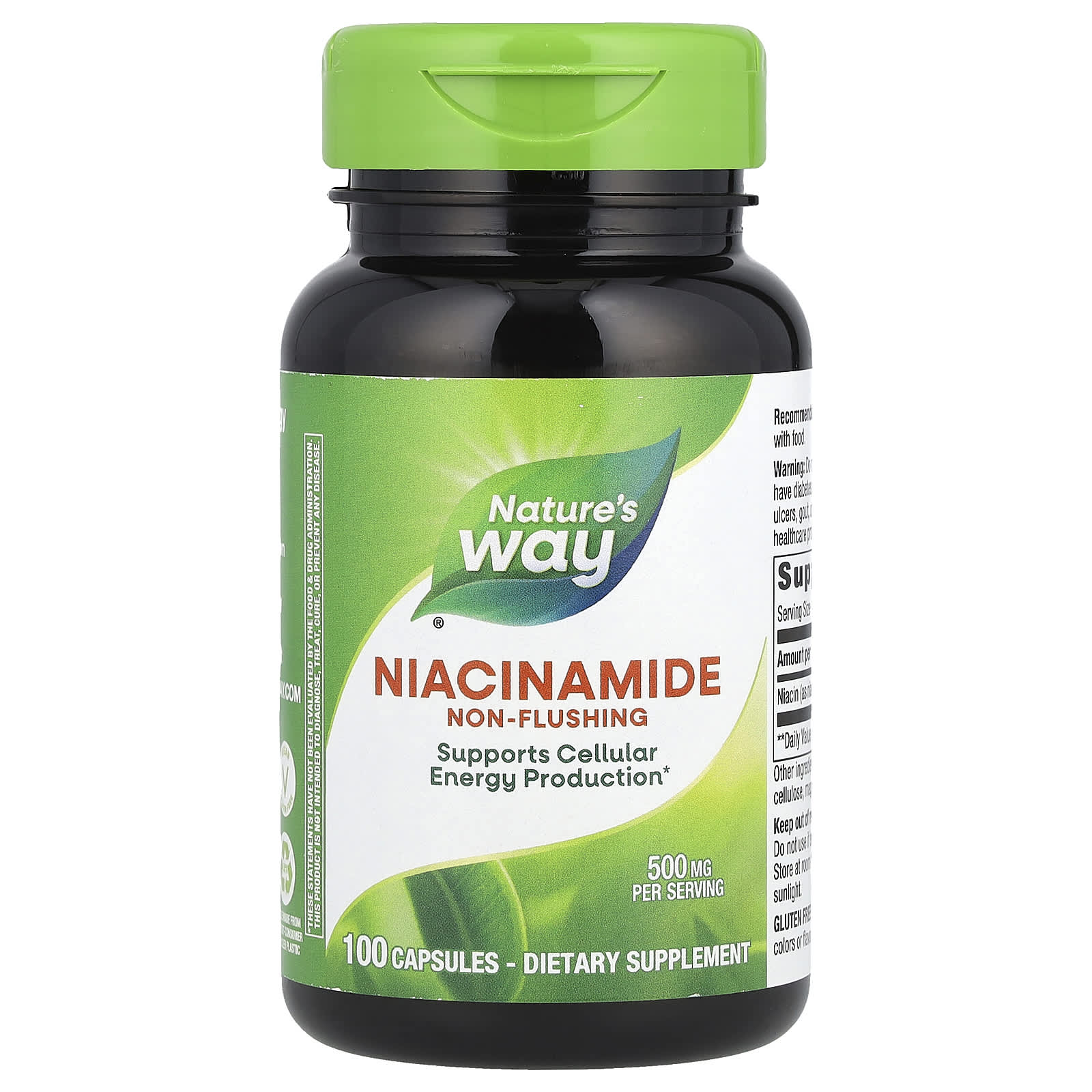 Nature’s Way, Niacinamide 500 mg, 100 Capsules UPC 033674404805 | Hilife Vitamins