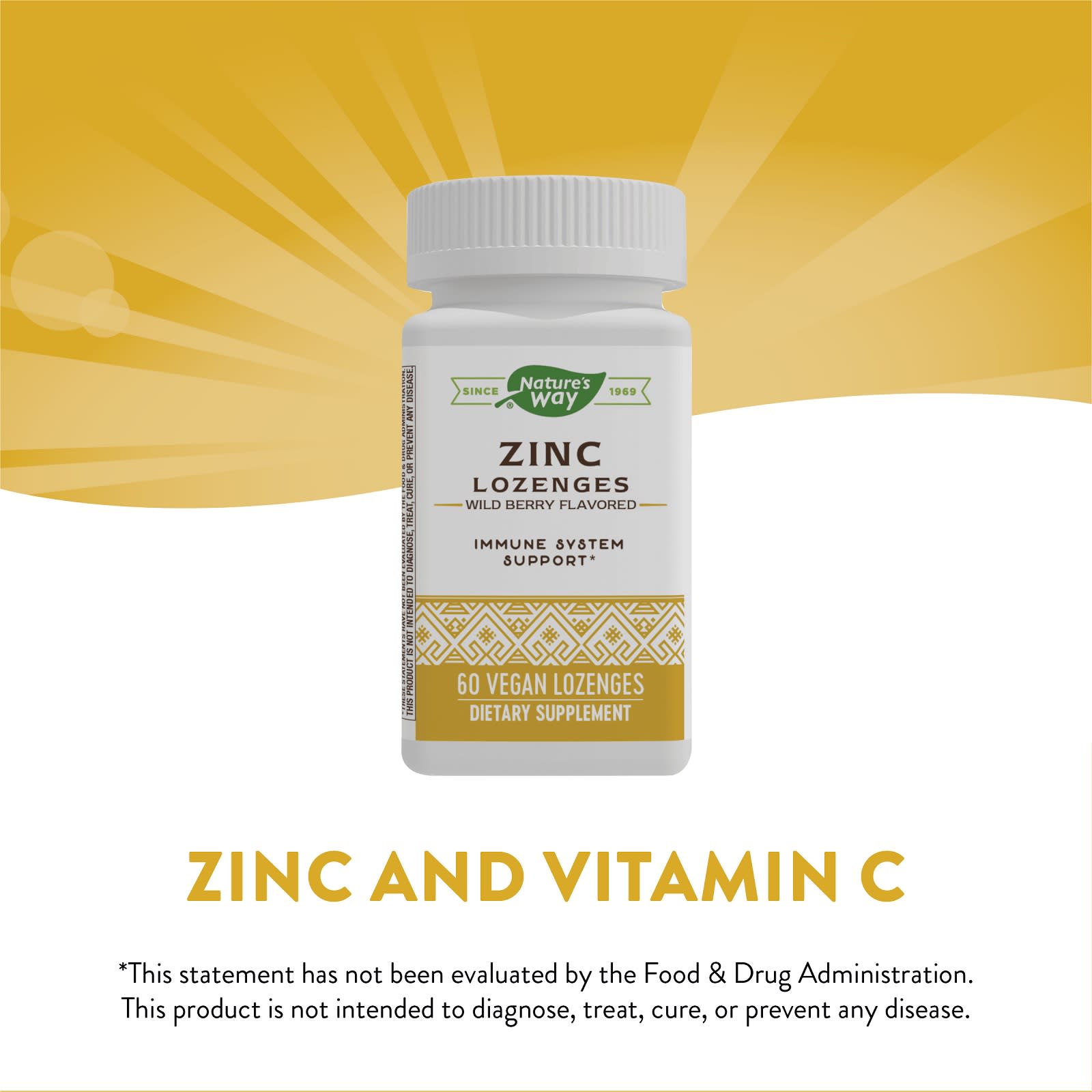 Nature’s Way, Zinc Lozenges, Wild Berry Flavored, 60 Lozenges UPC 033674410929 | Hilife Vitamins