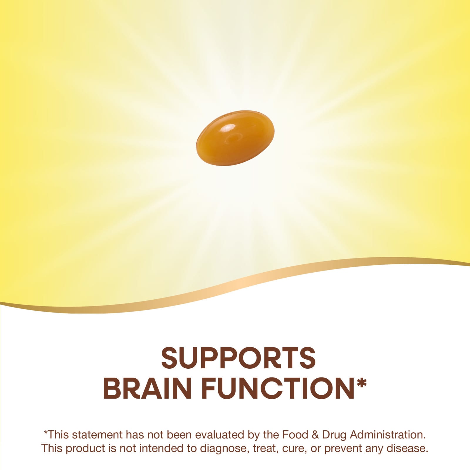 Nature’s Way, Phosphatidyl Serine, 60 Softgels UPC 033674451618 | Hilife Vitamins