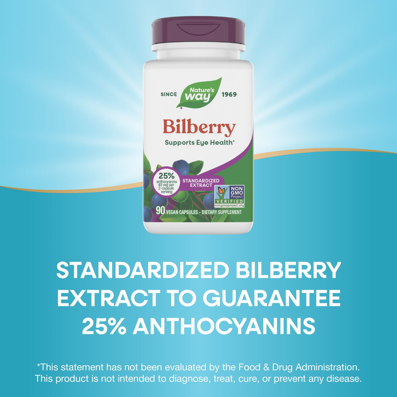 Nature’s Way, Bilberry, 90 Vegan Capsules UPC 033674605103 | Hilife Vitamins