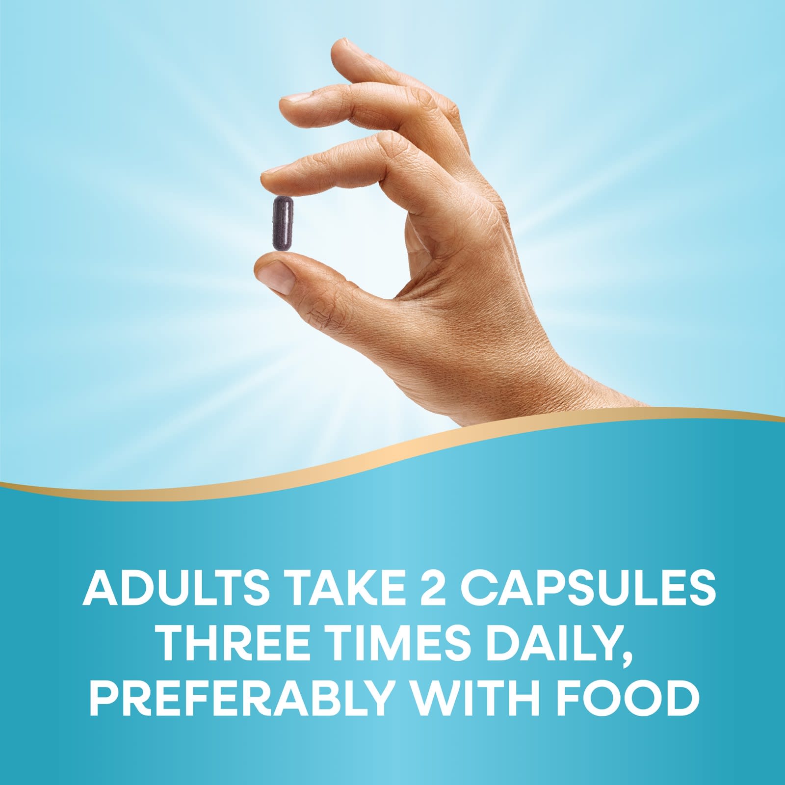 Nature’s Way, Bilberry, 90 Vegan Capsules UPC 033674605103 | Hilife Vitamins