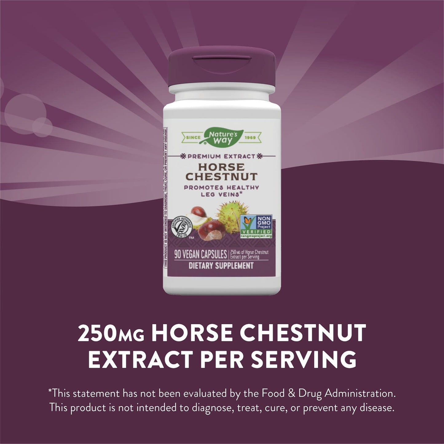 Nature’s Way, Horse Chestnut Standardized Extract, 90 Vegetarian Capsules