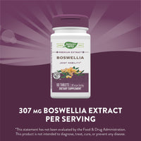 Nature’s Way, Boswellia Standardized Extract, 60 Tablets