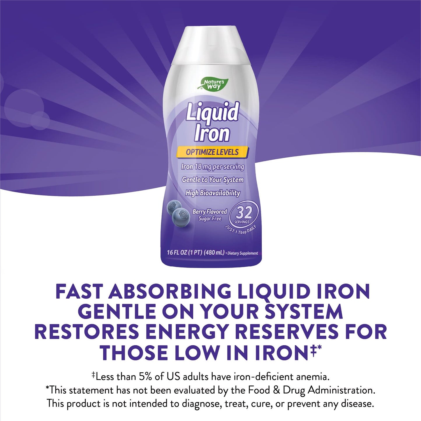 Nature’s Way, Liquid Iron, 16 Oz UPC 371401923169 | Hilife Vitamins