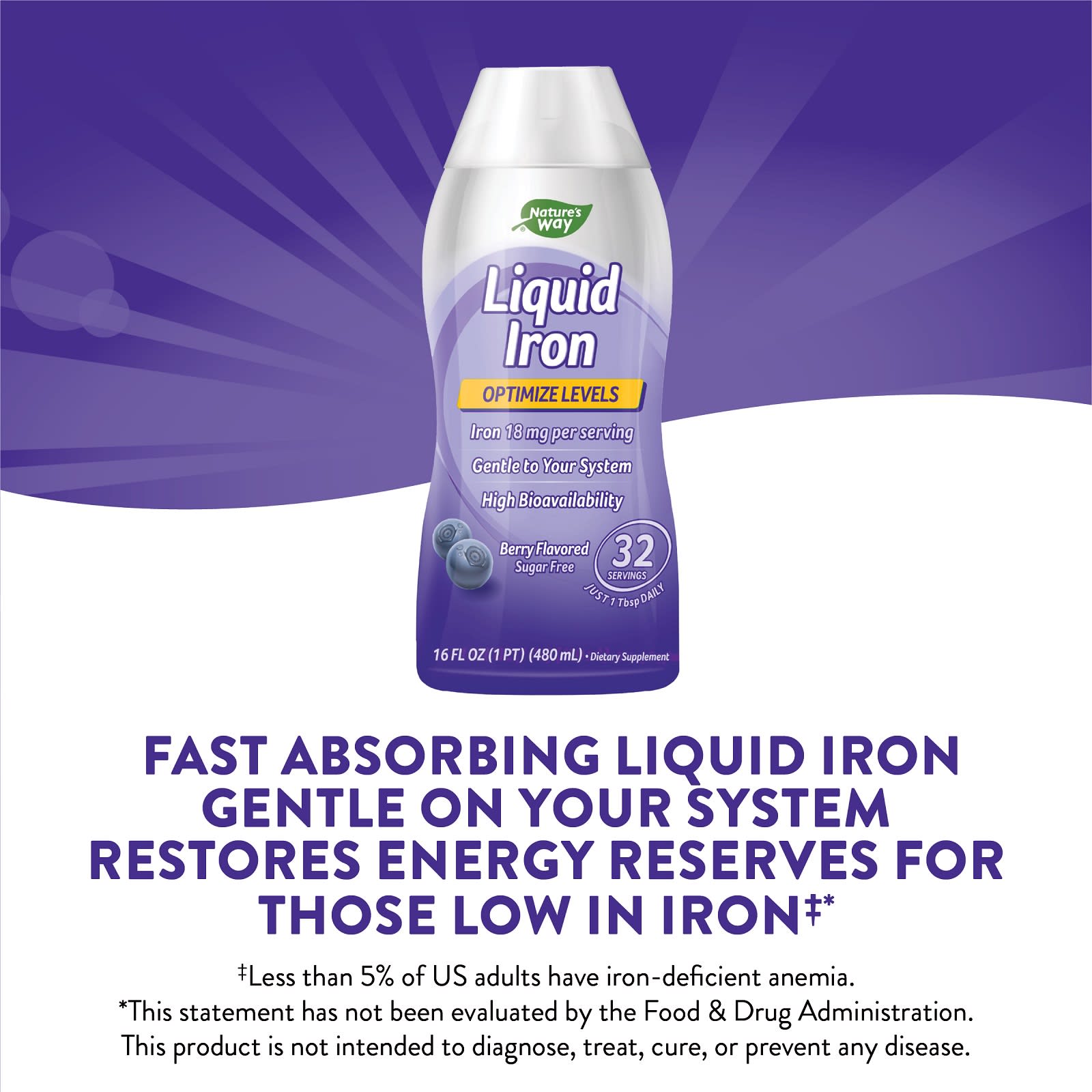 Nature’s Way, Liquid Iron, 16 Oz UPC 371401923169 | Hilife Vitamins