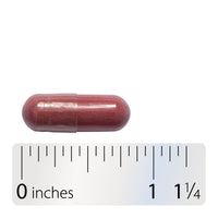 Nature’s Way, Cherry Ext, 180 Capsules UPC 763948085408 | Hilife Vitamins