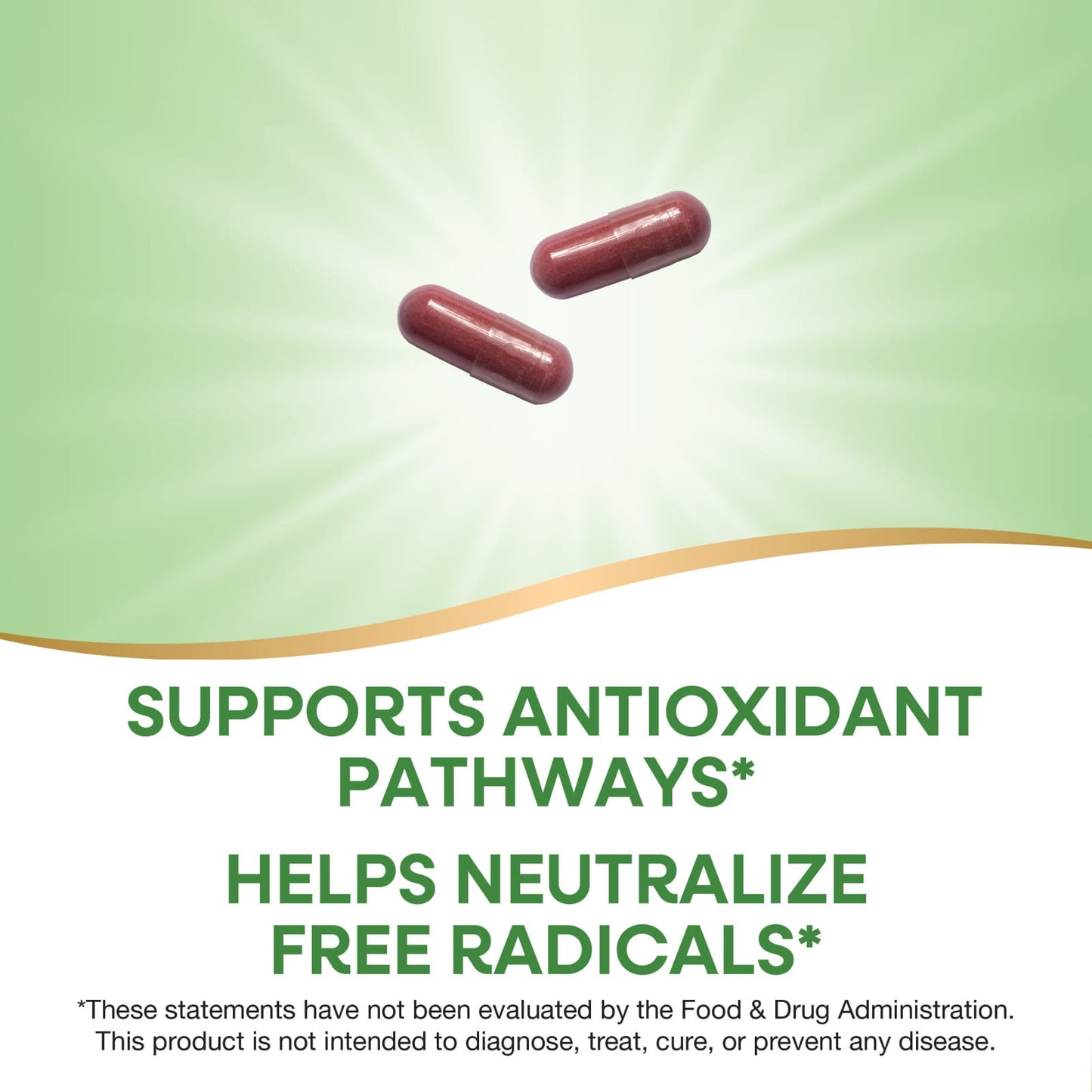Nature’s Way, Cherry Ext, 180 Capsules UPC 763948085408 | Hilife Vitamins
