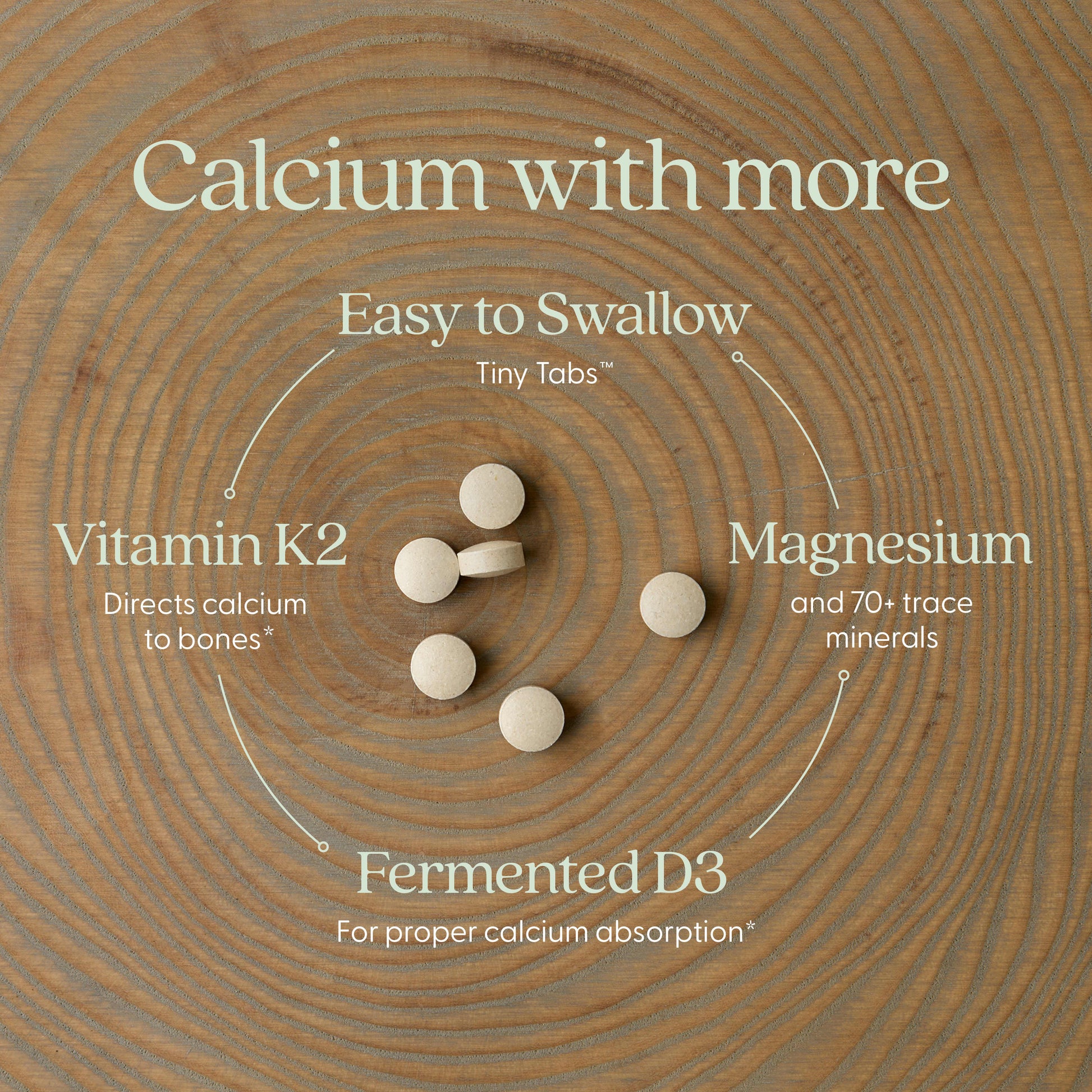 New Chapter, Plant Calcium, Bone Strength Take Care™, 120 Vegan Tiny Tablets UPC 727783004123 | HiLife Vitamins