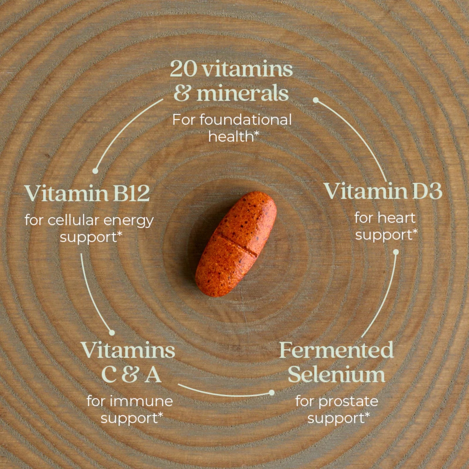 New Chapter, One Daily Every Man™'s Multivitamin 55+, 96 Vegetarian Tablets UPC 727783901484 | HiLife Vitamins