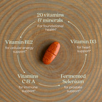 New Chapter, One Daily Every Man™'s Multivitamin 55+, 96 Vegetarian Tablets UPC 727783901484 | HiLife Vitamins