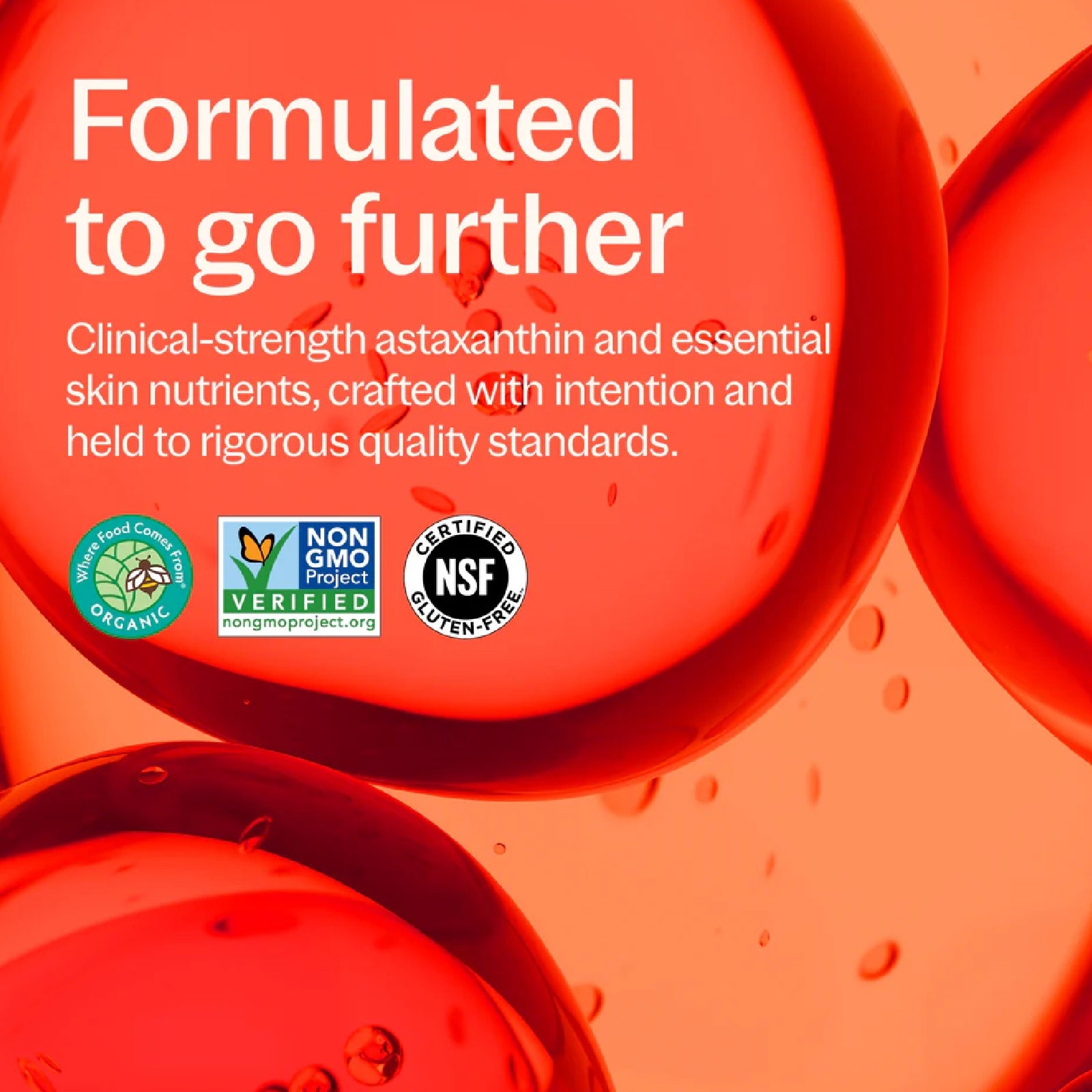 New Chapter, Skin Barrier Boost, 30 Capsules UPC 727783904645 | Hilife Vitamins