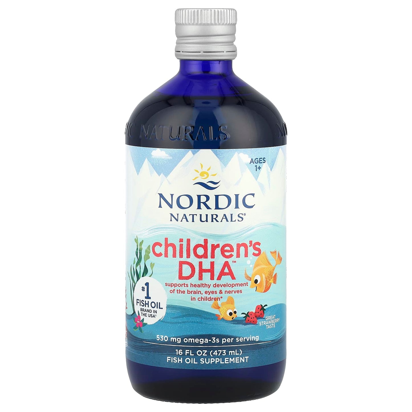 Nordic Naturals, Children's DHA™, Ages 1+, Great Strawberry, 530 mg, 16 fl oz (473 ml) UPC 768990027246 | HiLife Vitamins