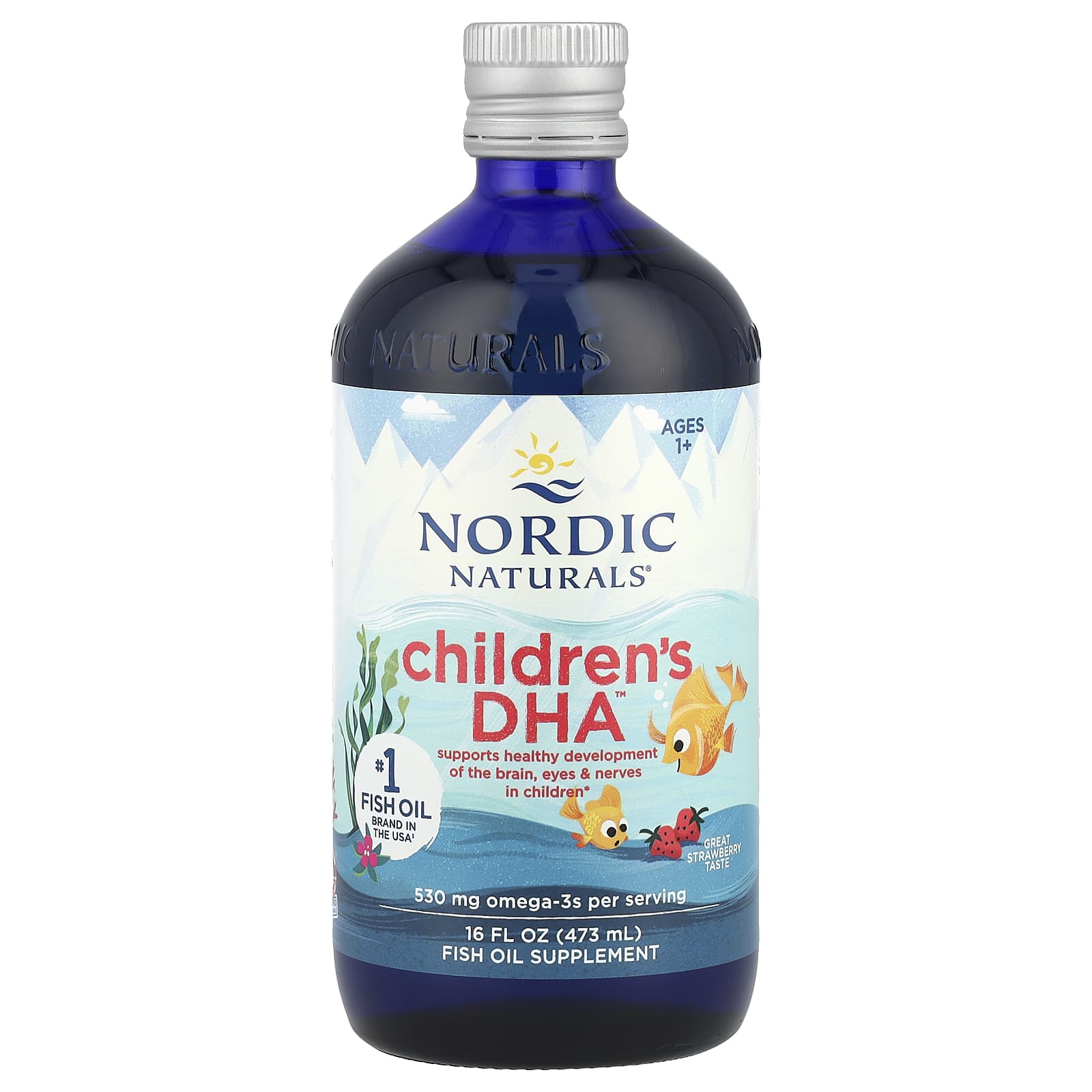 Nordic Naturals, Children's DHA™, Ages 1+, Great Strawberry, 530 mg, 16 fl oz (473 ml) UPC 768990027246 | HiLife Vitamins