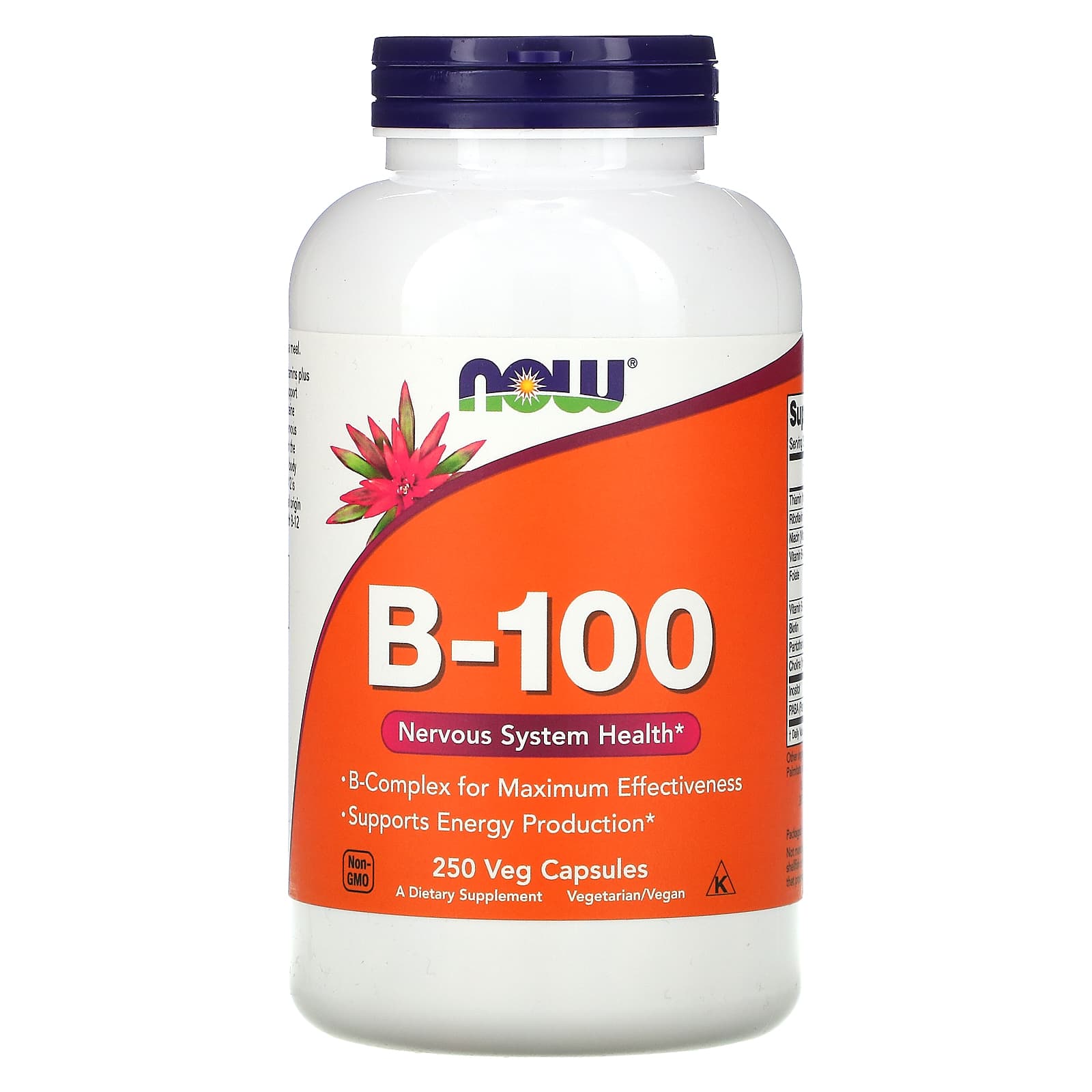 Now Foods, B-100, 250 Capsules UPC 733739004383 | HiLife Vitamins