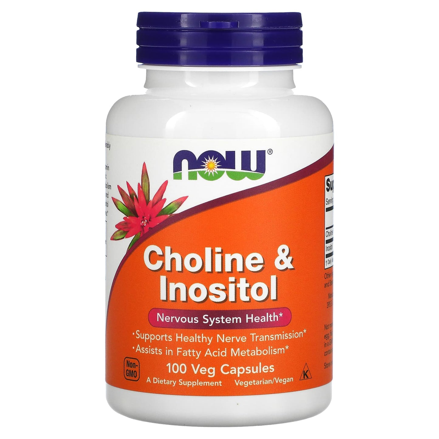Now Foods, Choline & Inositol, 100 Capsules UPC 733739004703 | HiLife Vitamins
