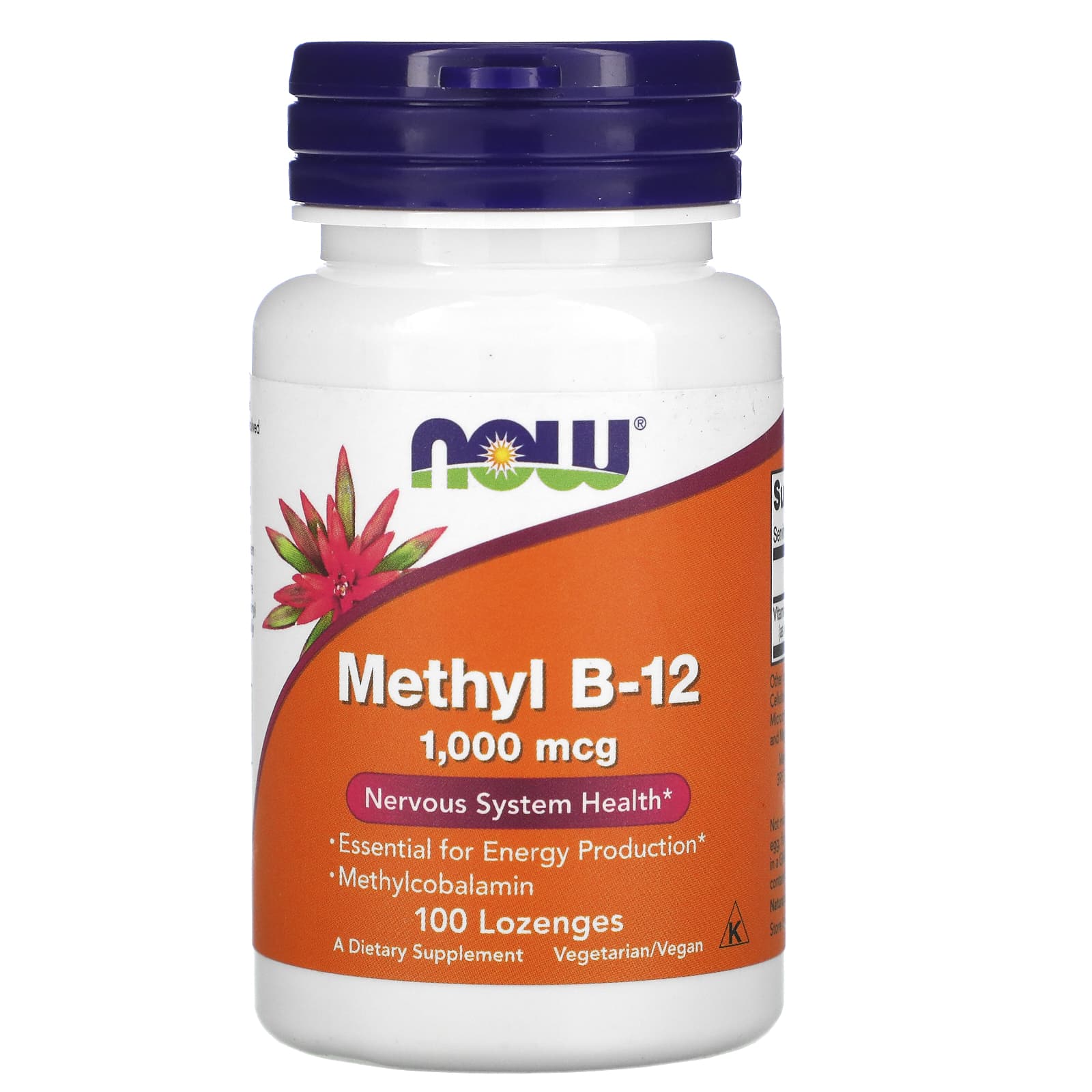 Now Foods, Methyl B-12, 1,000 mcg, 100 Lozenges UPC 733739004956 | HiLife Vitamins