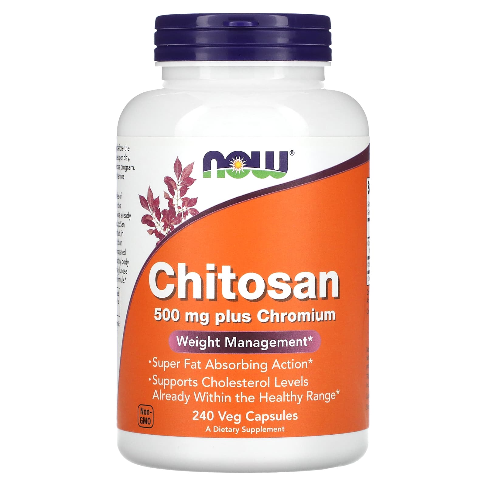 Now Foods, Chitosan 500 mg Plus, 240 Capsules UPC 733739020260 | HiLife Vitamins