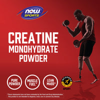 Now Foods, Creatine Powder, 600 UPC 733739020314 | HiLife Vitamins
