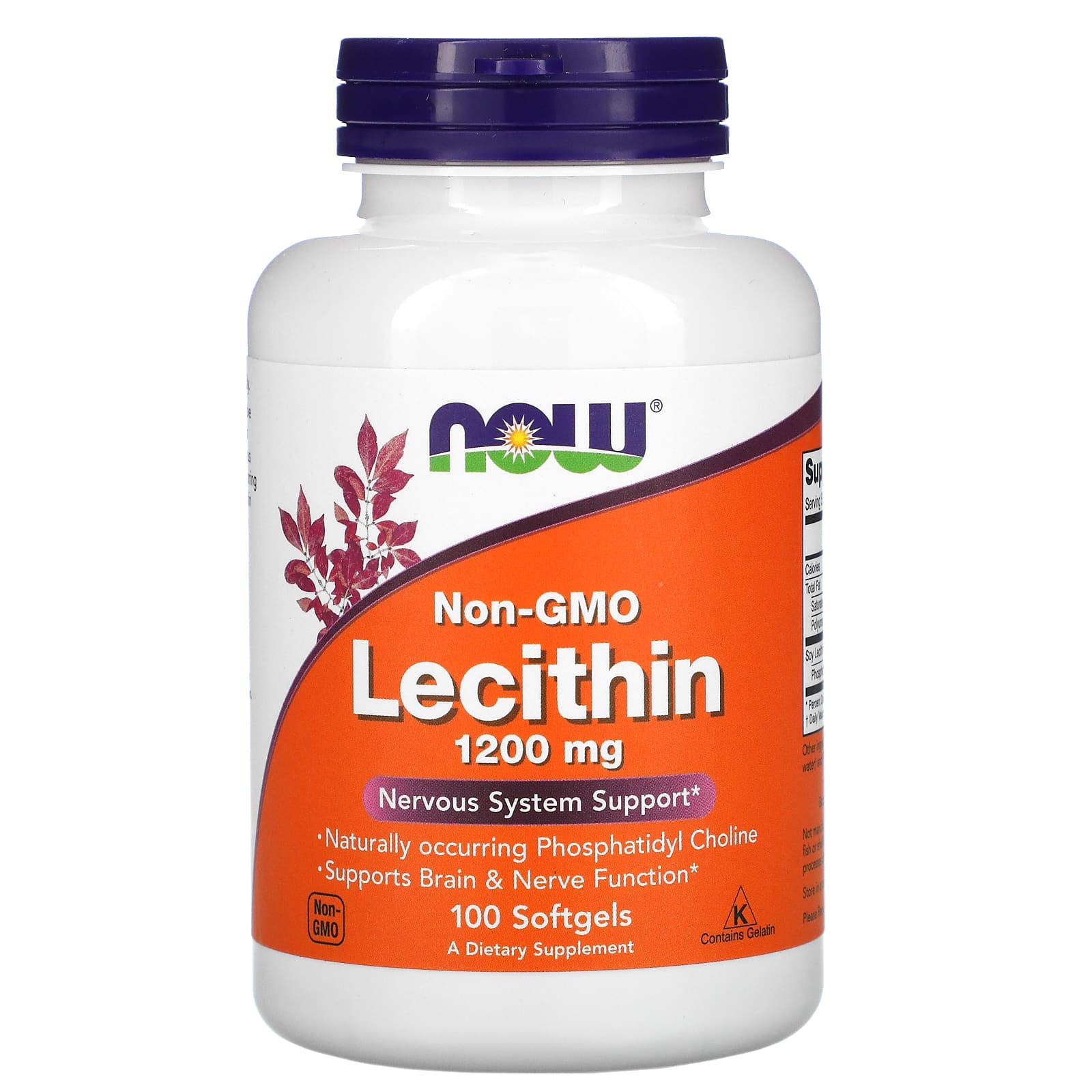 Now Foods, Lecithin, 1200 mg, 100 Softgels UPC 733739022103 | HiLife Vitamins