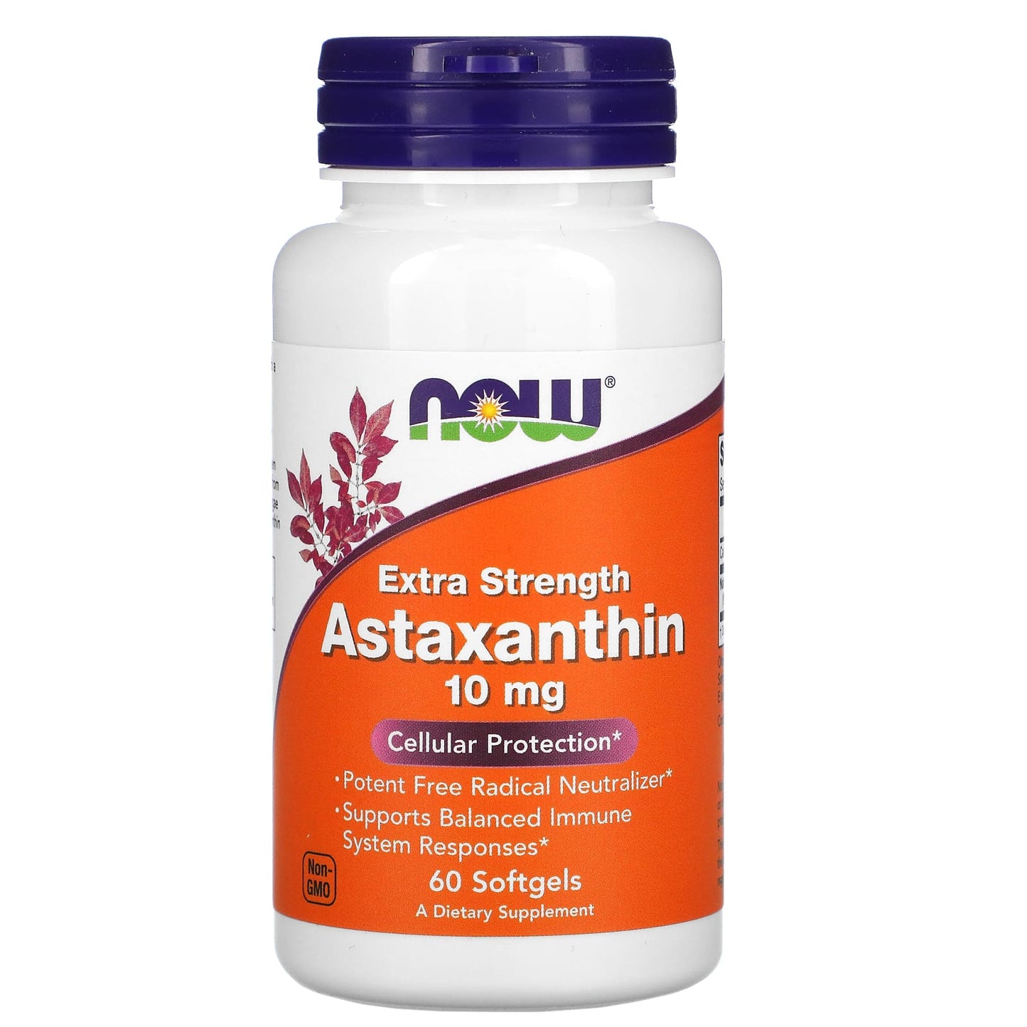 Now Foods, ASTAXANTHIN 10 MG, 60 Softgels UPC 733739022516 | HiLife Vitamins