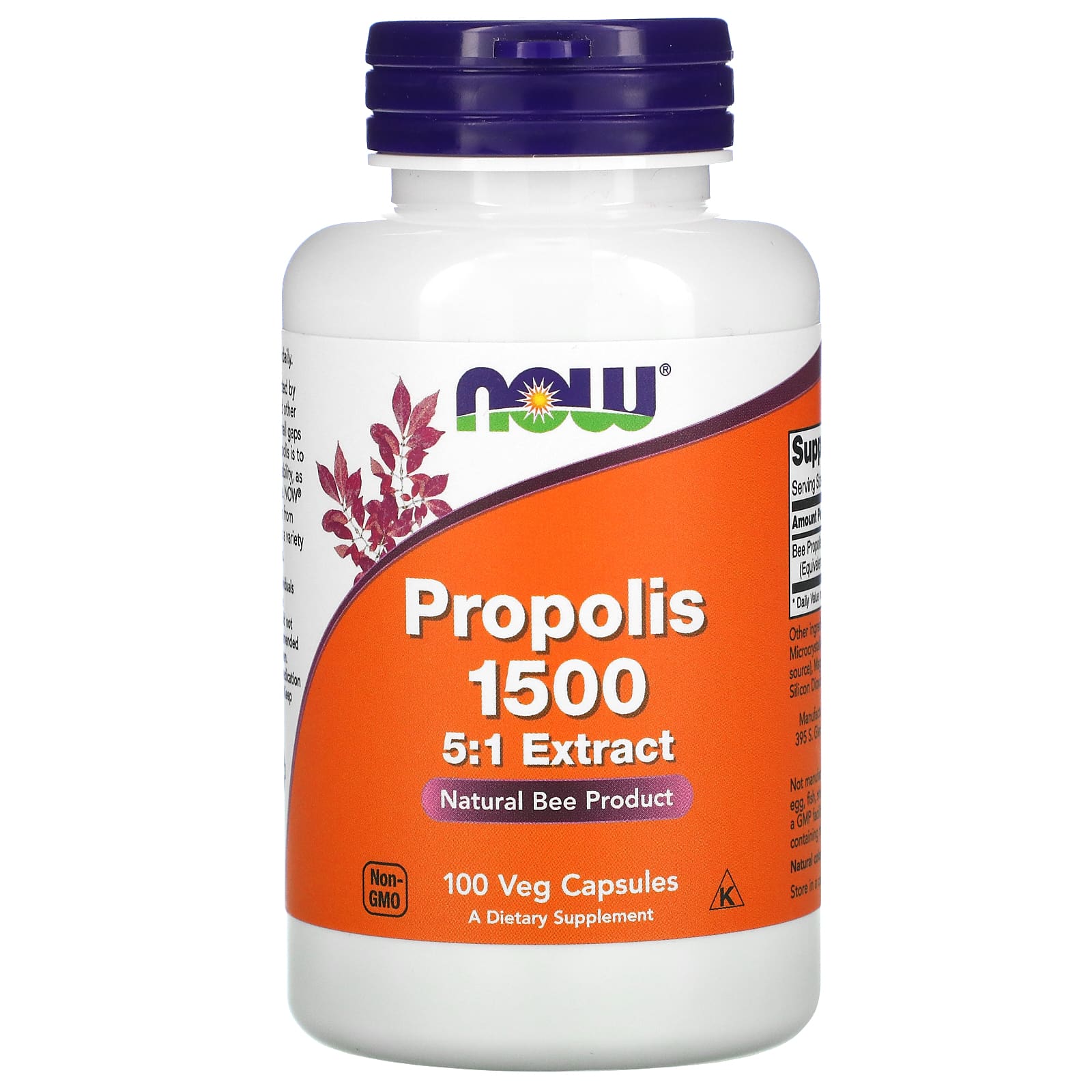Now Foods, PROPOLIS 500mg, 100 Capsules UPC 733739025401 | HiLife Vitamins