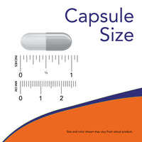 Now Foods, PROBIOTIC-10 100 BILLION, 60 Veg Caps UPC 733739029041 | HiLife Vitamins