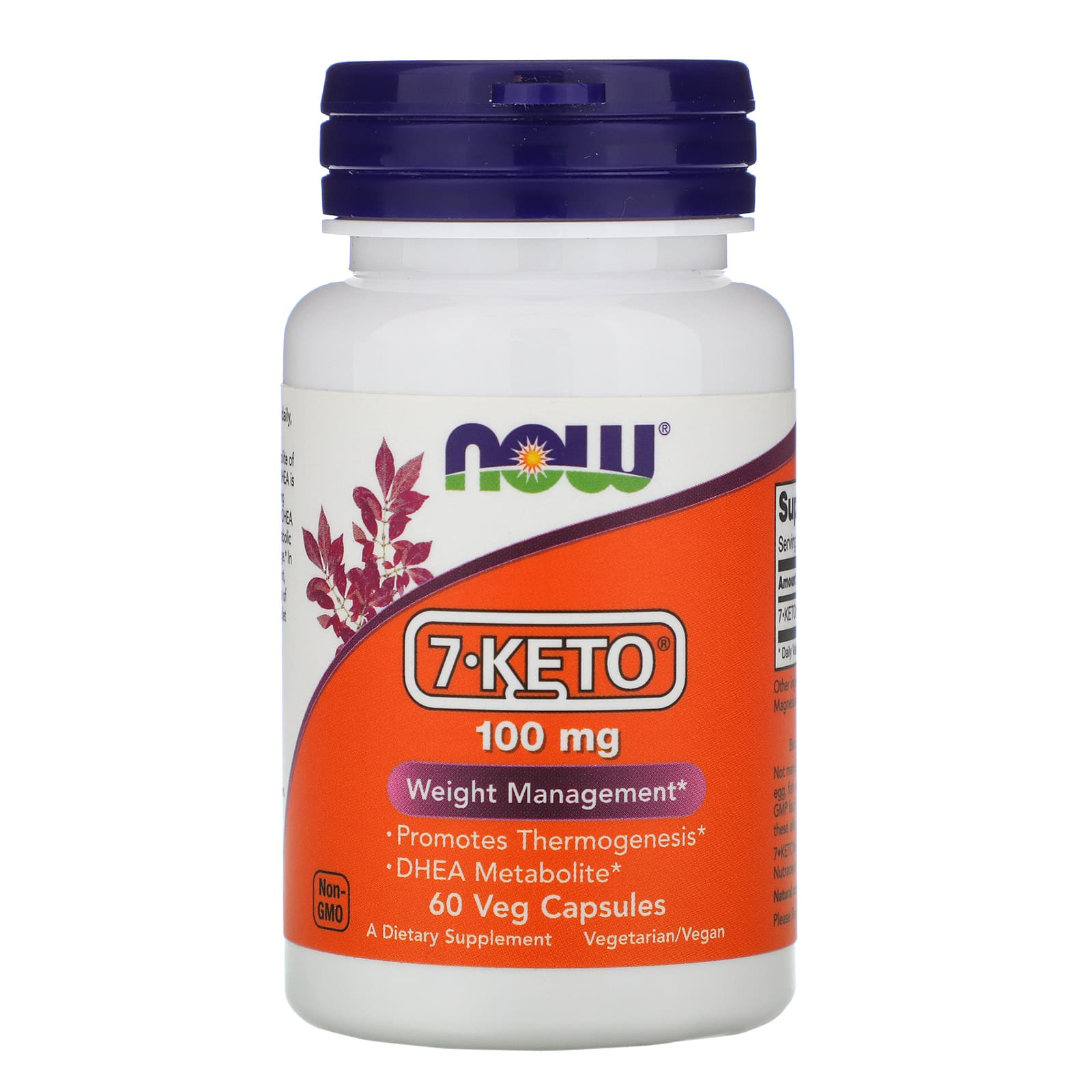 Now Foods, 7-Keto 100mg, 60 Vegetarian Capsules UPC 733739030139 | HiLife Vitamins