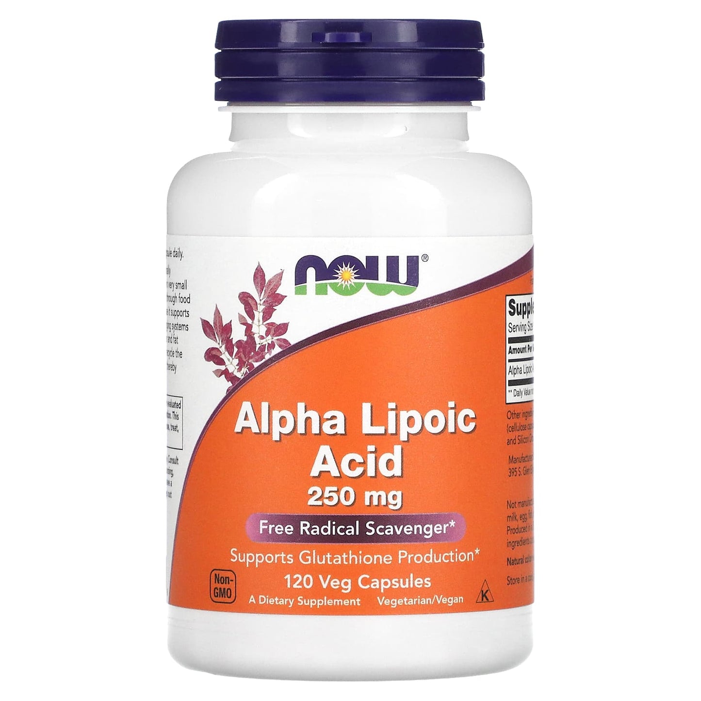 Now Foods, Alpha Lipoic Acid, 250 mg, 120 Veg Capsules UPC 733739030436 | HiLife Vitamins