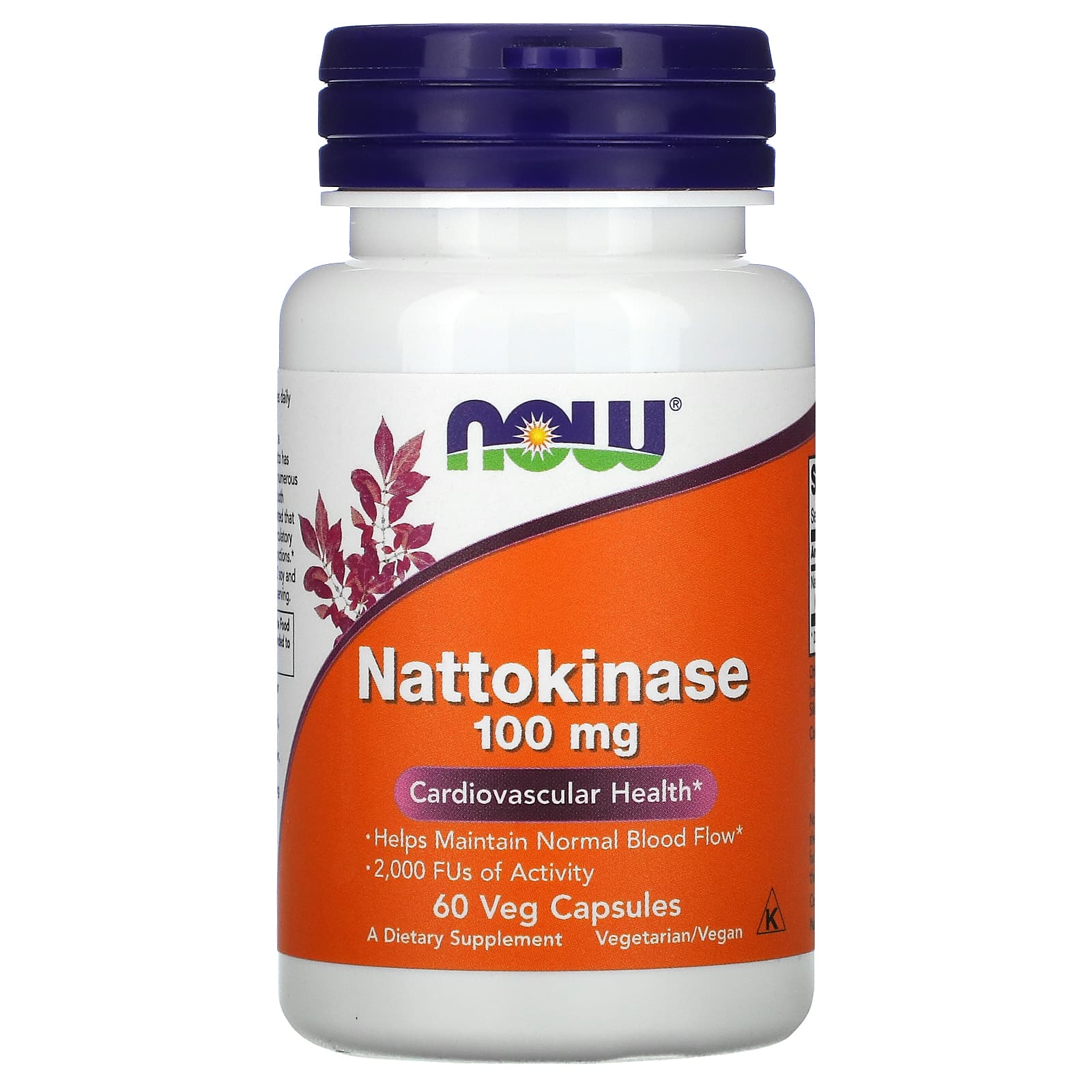 Now Foods, Nattokinase 100 mg, 60 Veg Capsules UPC 733739031402 | HiLife Vitamins