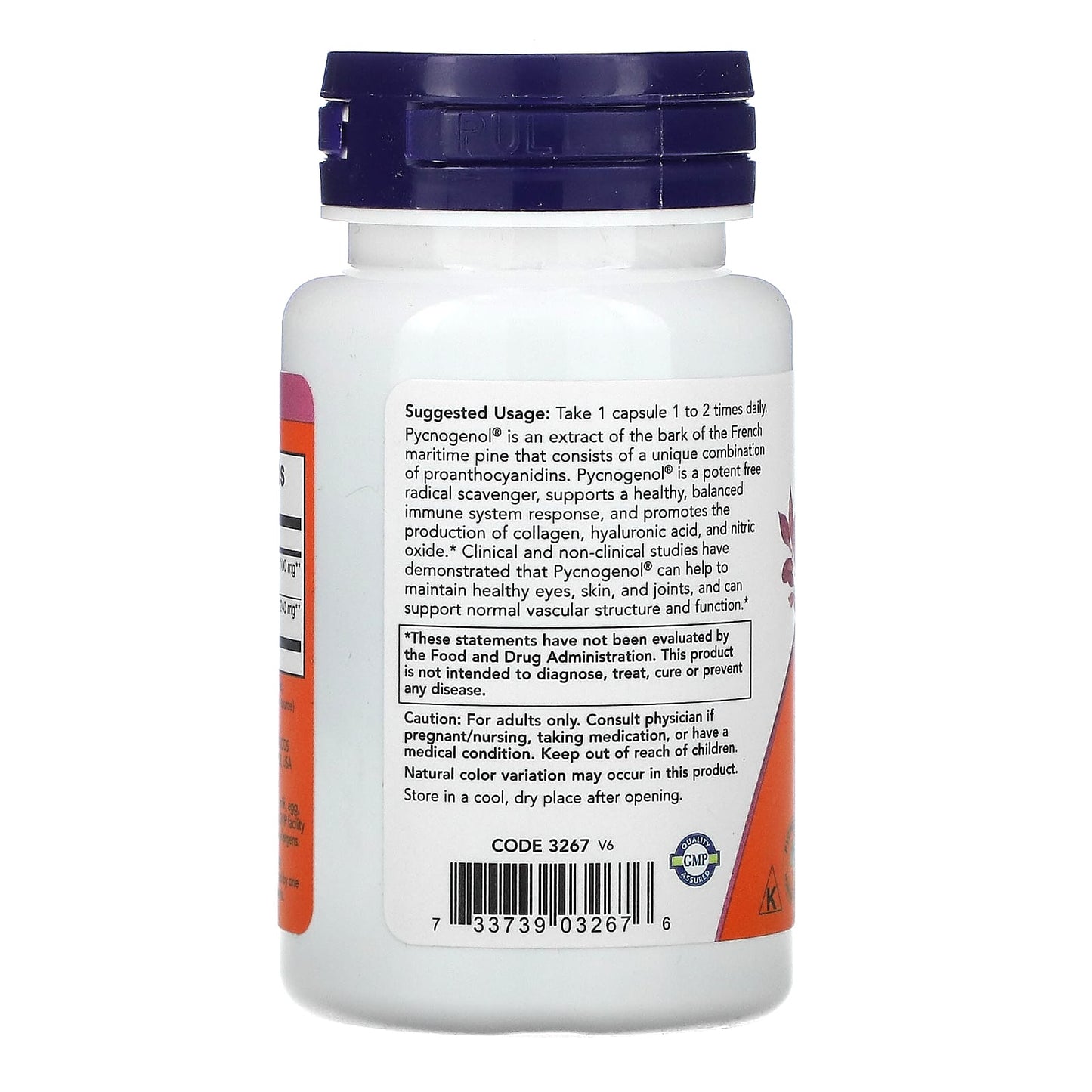 Now Foods, Pycnogenol 100mg, 60 Vegetarian Capsules UPC 733739032676 | HiLife Vitamins