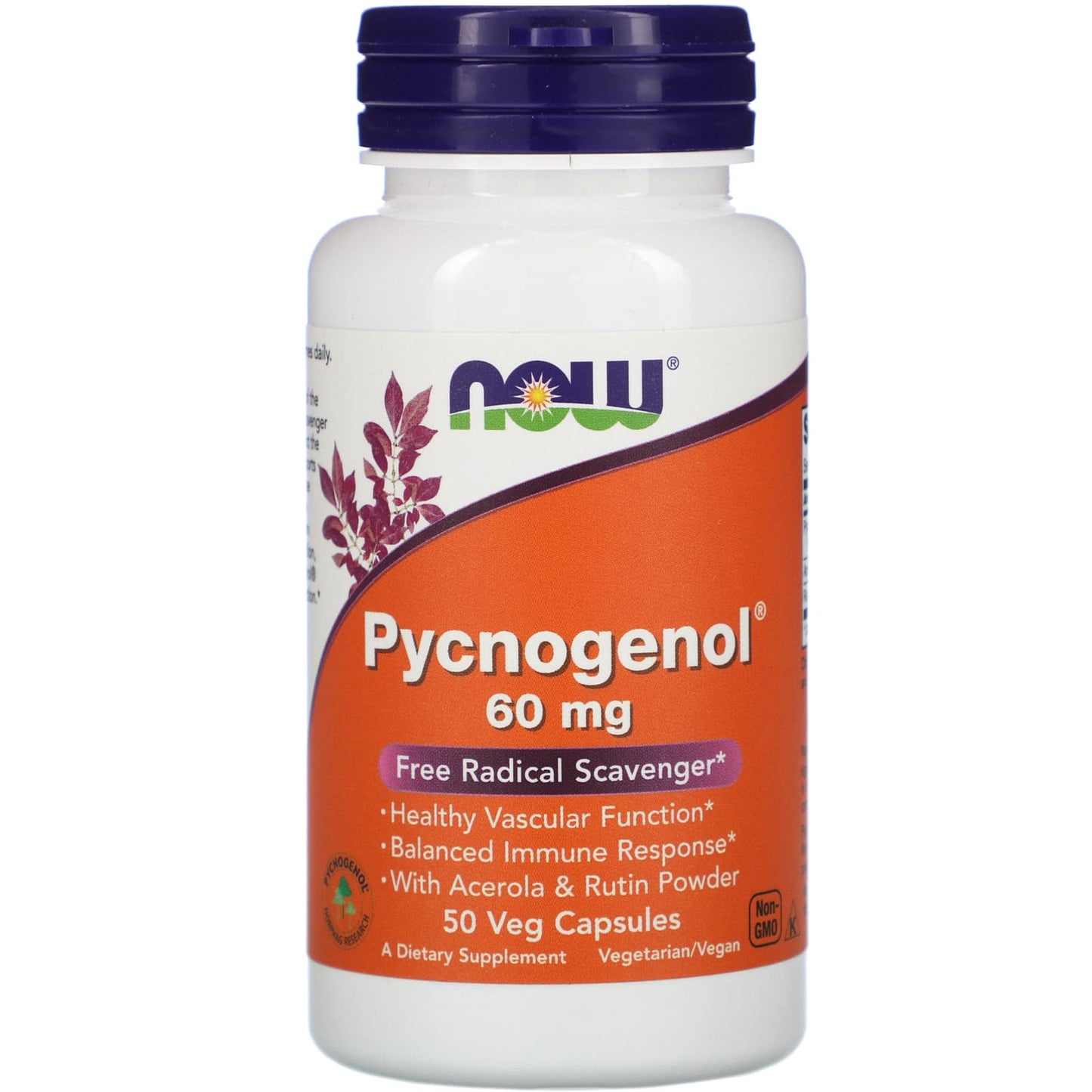 Now Foods, Pycnogenol 60mg, 50 Vegetarian Capsules UPC 733739032775 | HiLife Vitamins