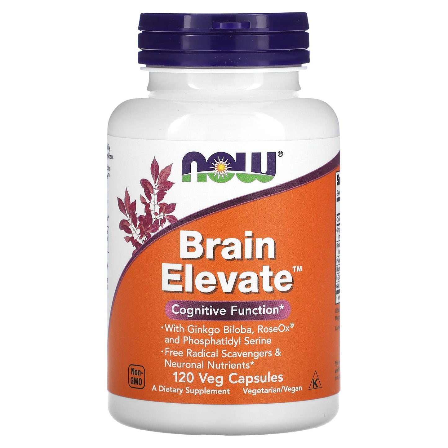 Now Foods, Brain Elevate, 120 Veg Capsules UPC 733739033048 | HiLife Vitamins