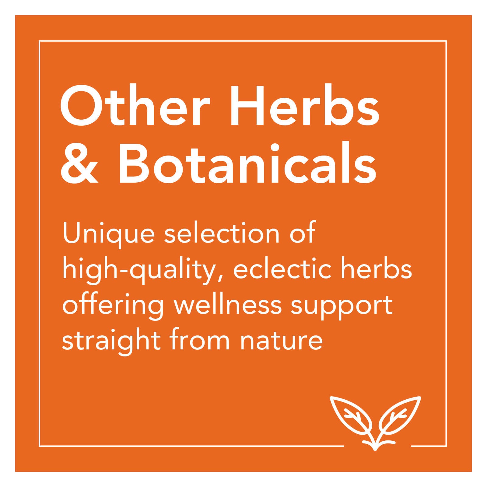 Now Foods, SAMBUCUS ZINC-C, 60 LOZ UPC 733739033840 | HiLife Vitamins