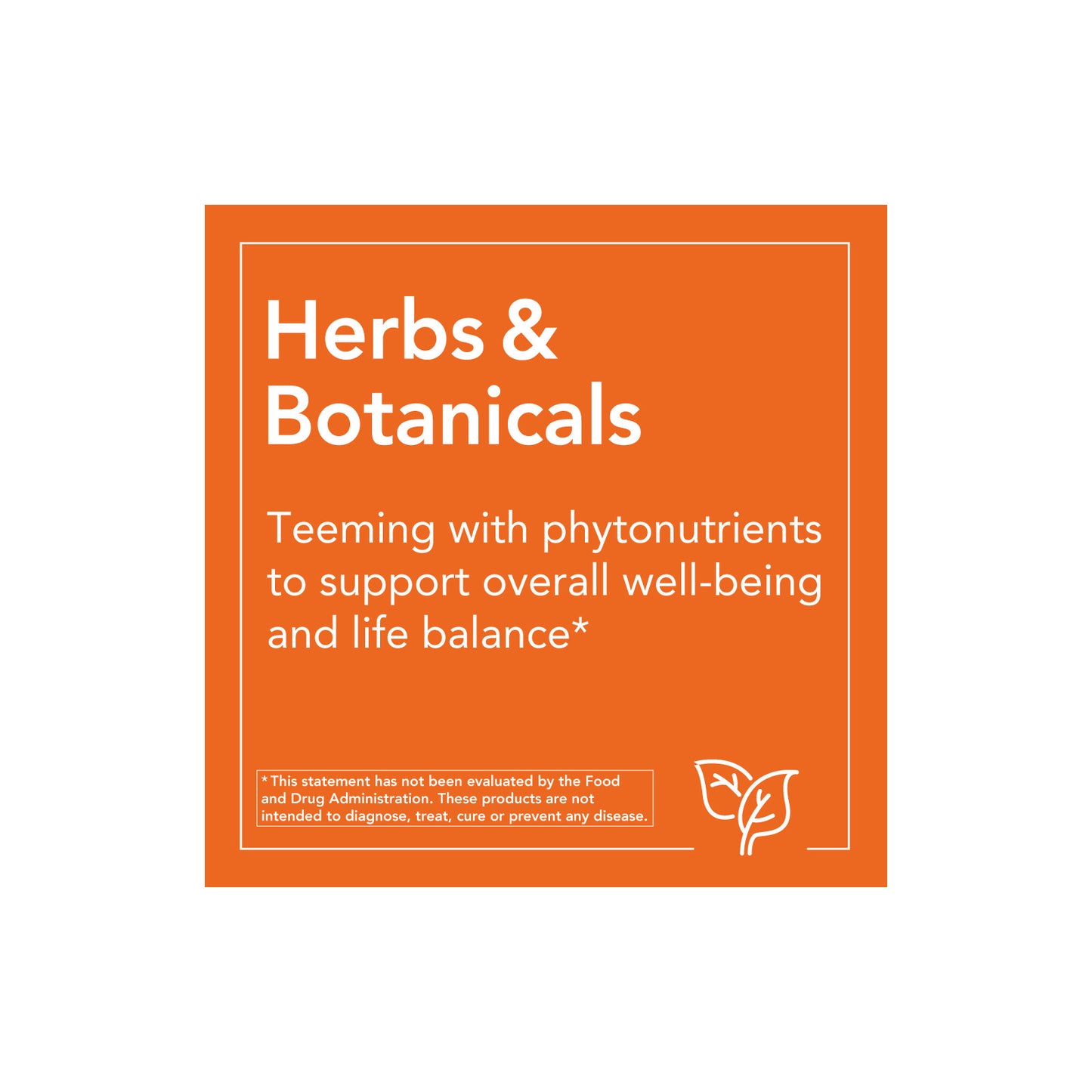 Now Foods, Panax Ginseng Extract, 100 Capsules UPC 733739040121 | HiLife Vitamins