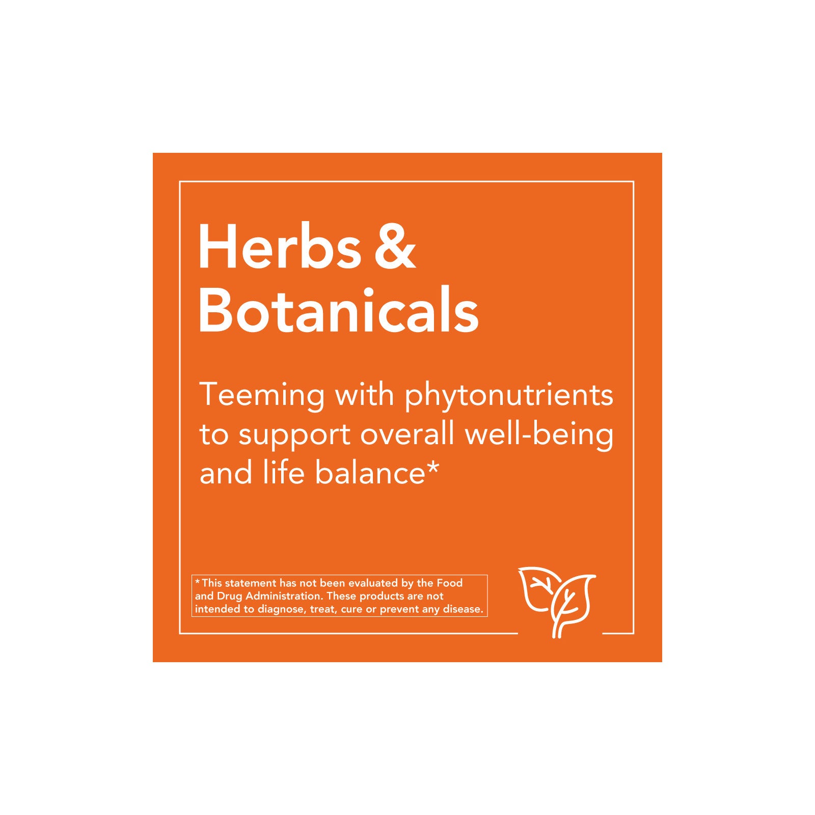 Now Foods, Panax Ginseng Extract, 100 Capsules UPC 733739040121 | HiLife Vitamins