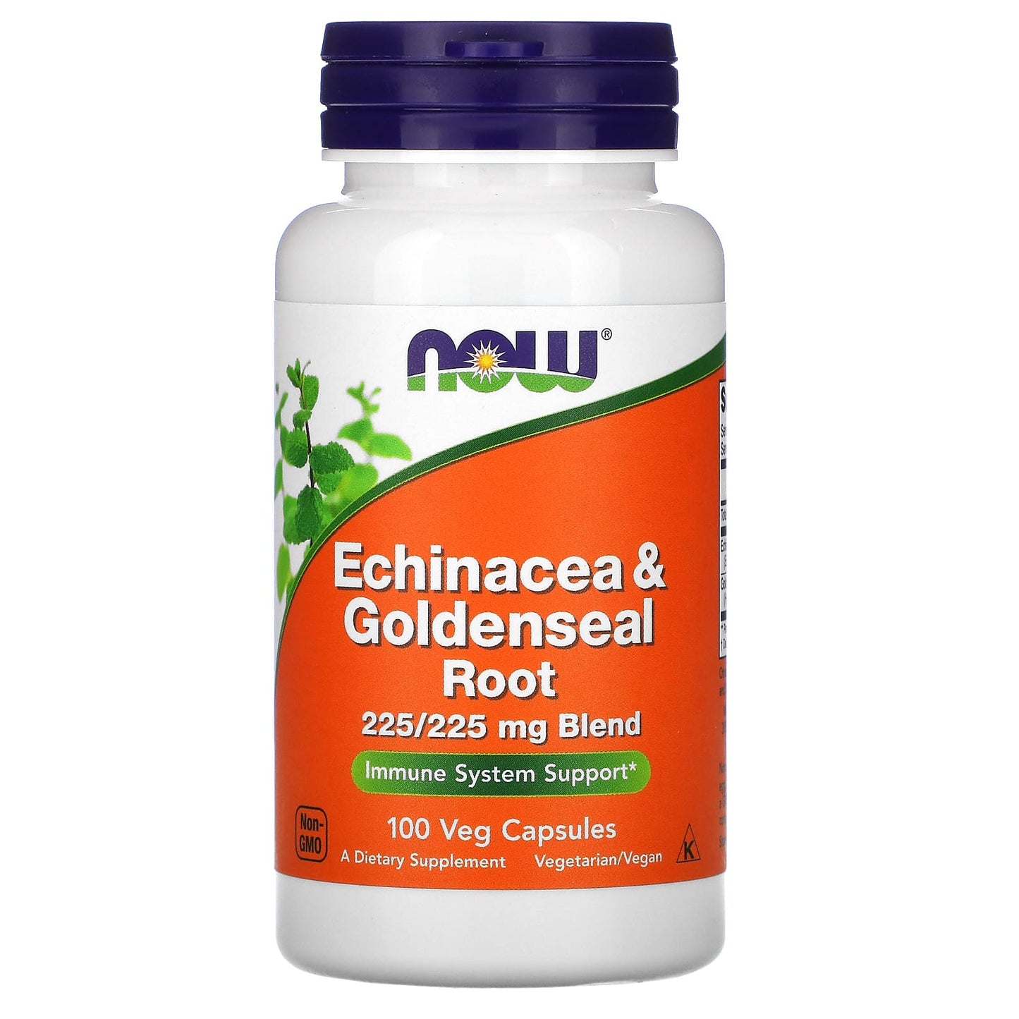 Now Foods, Ech/Gseal Root, 100 Capsules UPC 733739046659 | HiLife Vitamins