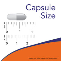 Now Foods, St. John’s Wort, 300 mg, 100 Veg Capsules UPC 733739047601 | HiLife Vitamins