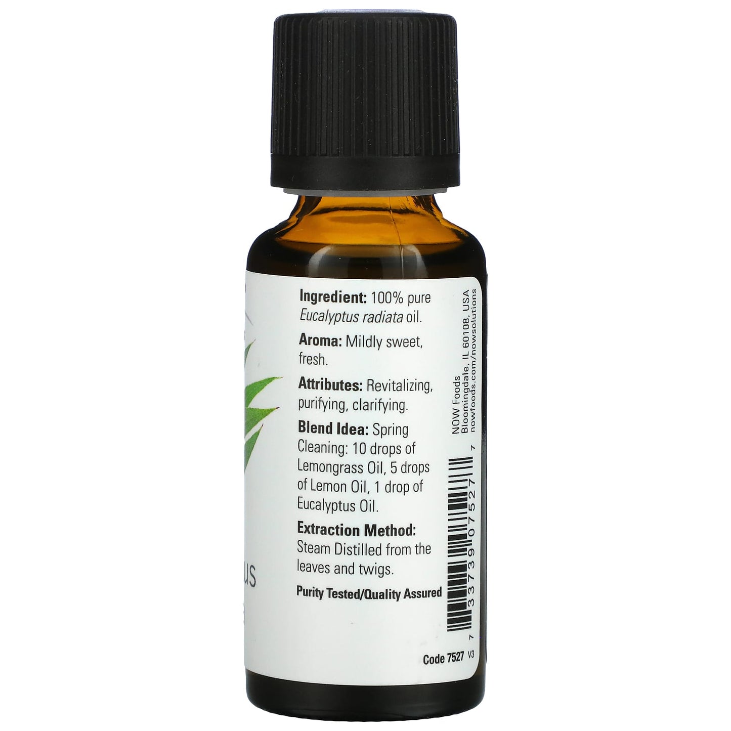 Now Foods, Eucalyptus Radiata Oil, 1 Fl Oz UPC 733739075277 | HiLife Vitamins