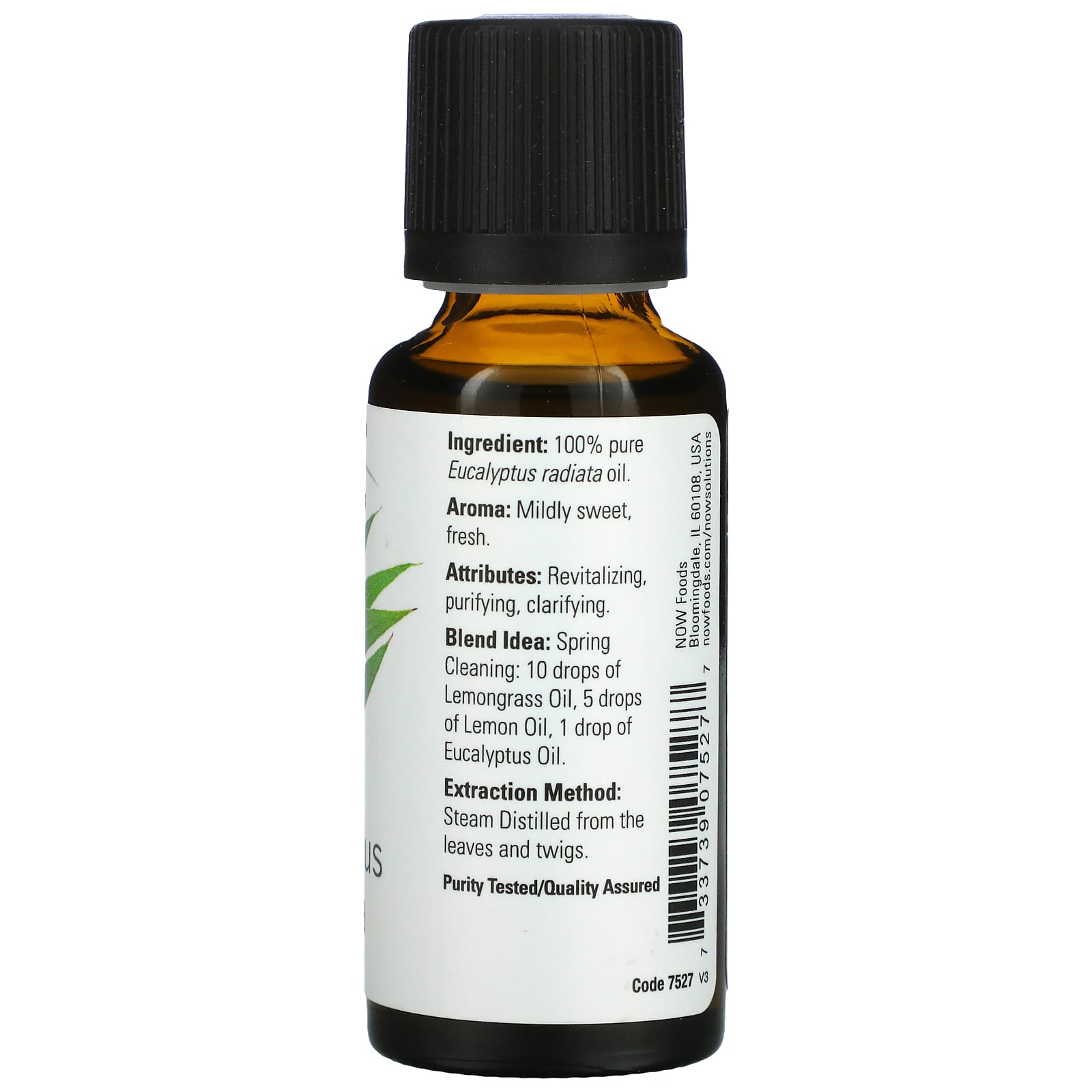 Now Foods, Eucalyptus Radiata Oil, 1 Fl Oz UPC 733739075277 | HiLife Vitamins