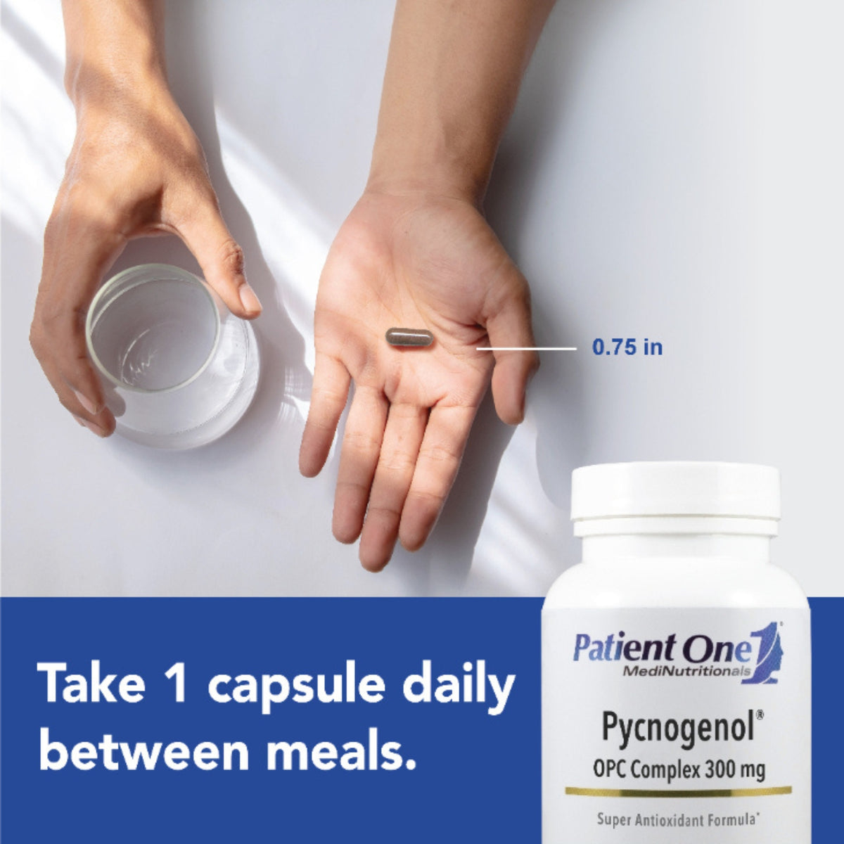 Patient One, Pycnogenol® OPC Complex 300 mg, 30 Vegetable Capsules UPC 853959004441 | Hilife Vitamins