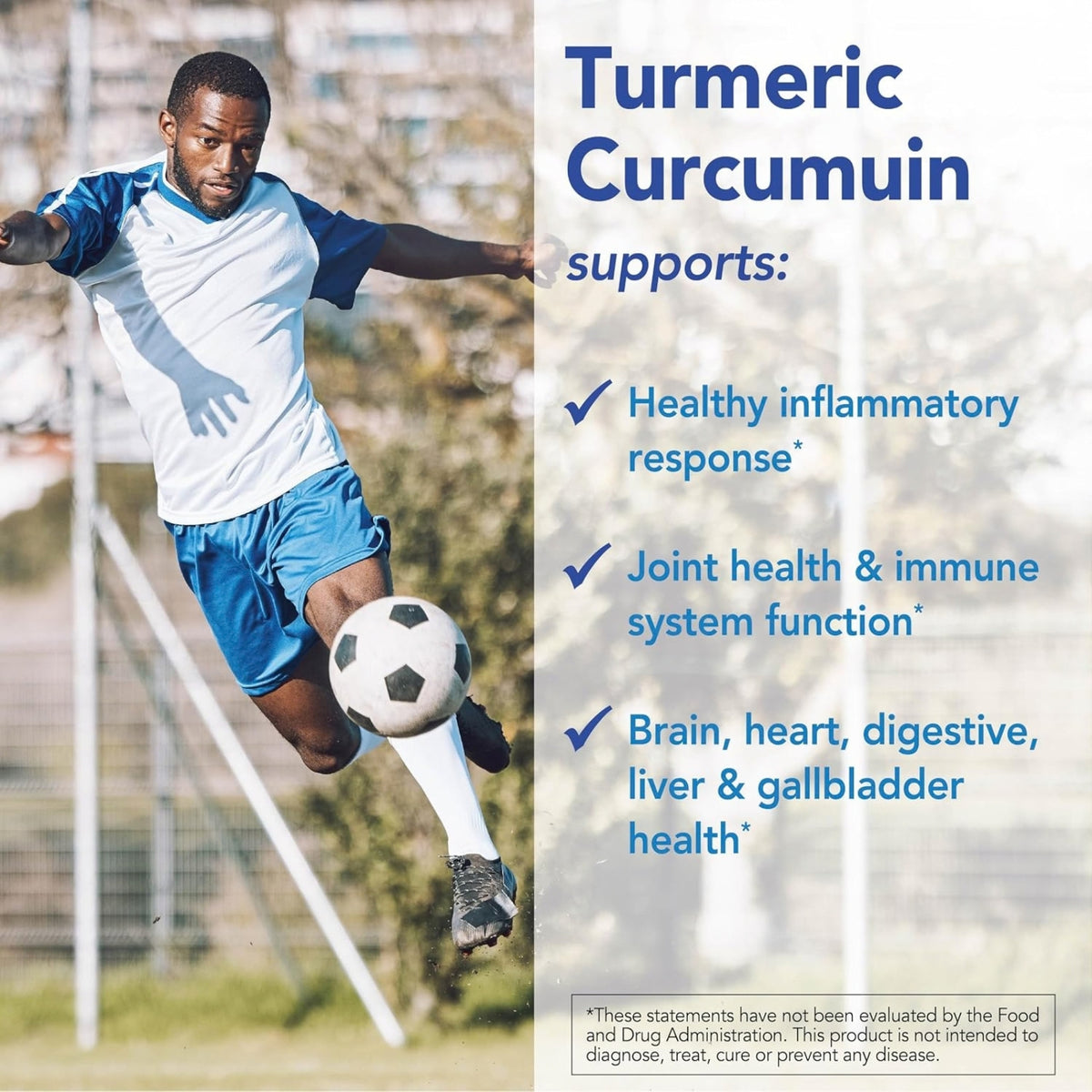 Patient One, Turmeric Curcumin 500mg, 90 Vegetable Capsules UPC 859782006188 | Hilife Vitamins