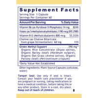 Premier Research Labs, Phyto Methylate, 60 Plant-Source Capsules UPC 807735020866 | Hilife Vitamins