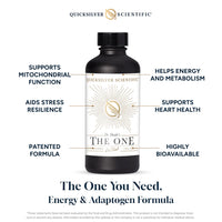 Quicksilver Scientific, The One, 3.38 fl. oz (100 ml) - [product_sku] | HiLife Vitamins